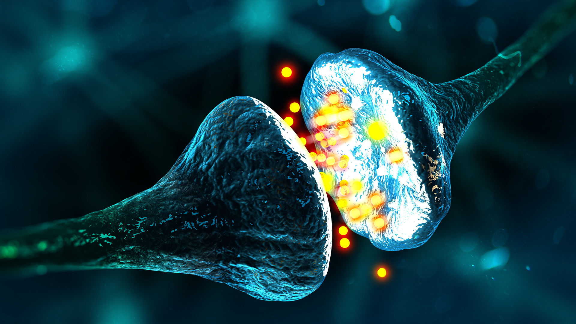 Neurology for PACES Candidates_HeroImage