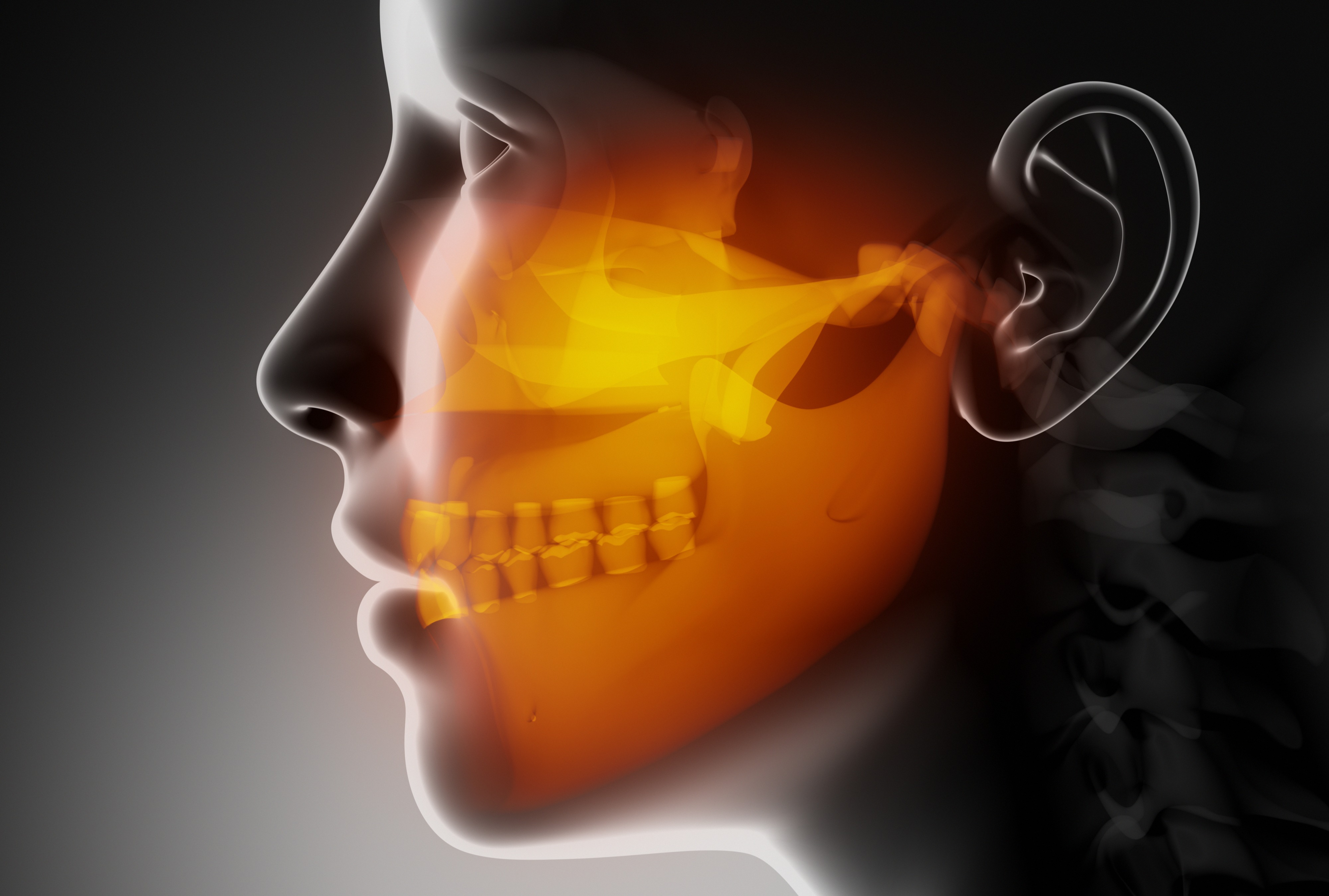 Graphic highlighting area oral cancer can affect in the mouth
