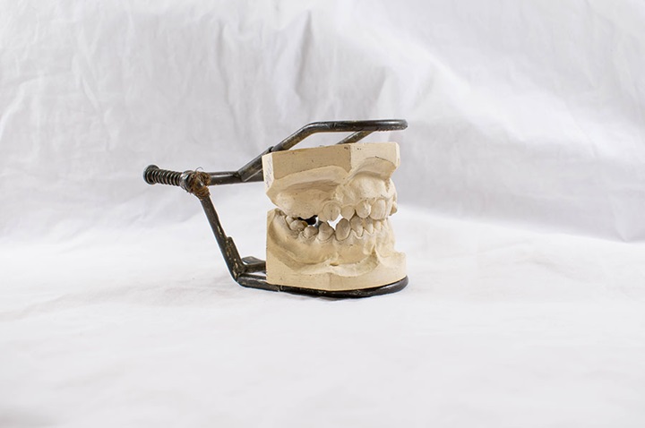 Dental Faculty