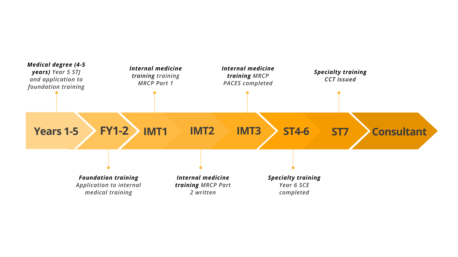 physicians career journey